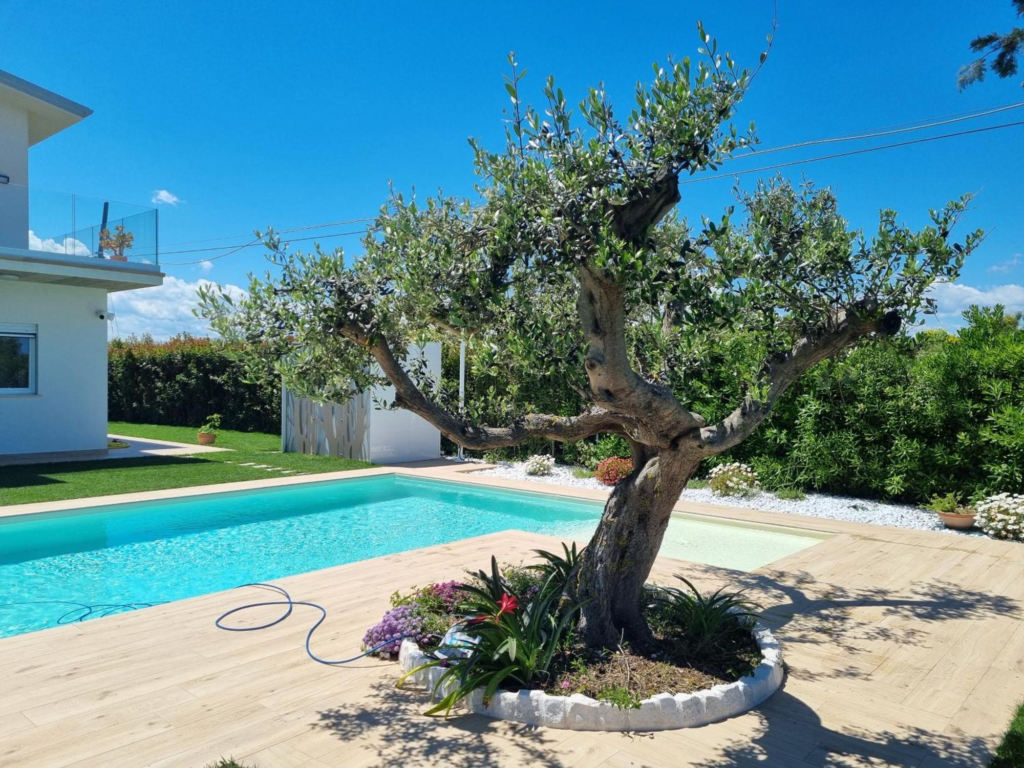 Villa Carezza Del Mare Torino di Sangro Esterno foto